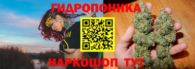 экстази Гай
