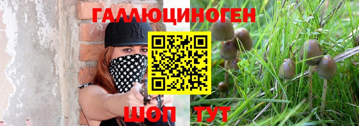 Москва  Галлюциногенные грибы MAGIC MUSHROOMS  Вход с VPN  Псилоцибиновые грибы MAGIC MUSHROOMS 